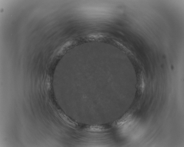 X0000062830758200601201612