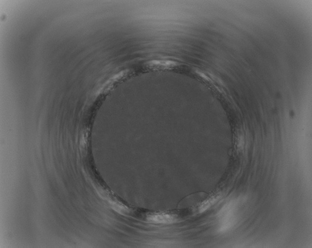 X0000062830759200601201612