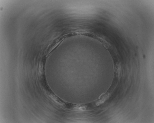 X0000062830760200601201612