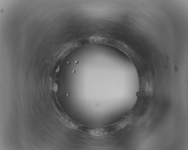 X0000062830761200601201612