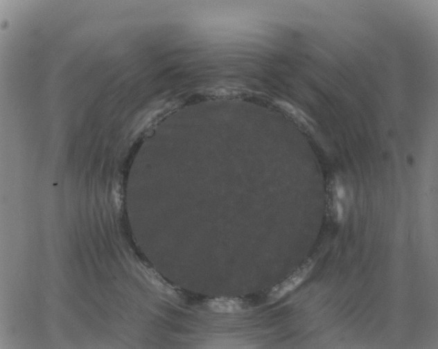 X0000062830762200601201612