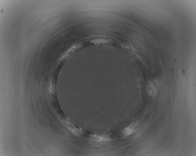 X0000062830763200601201612