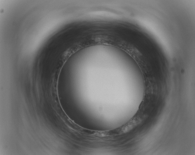 X0000062830764200601201612