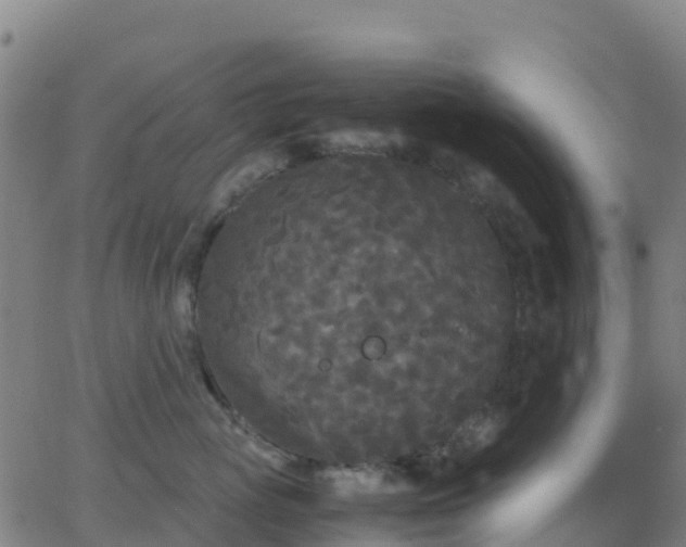 X0000062830765200601201612