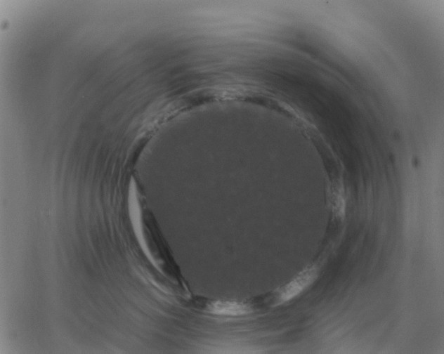 X0000062830766200601201612