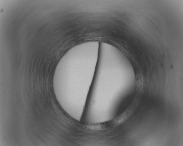 X0000062830767200601201613