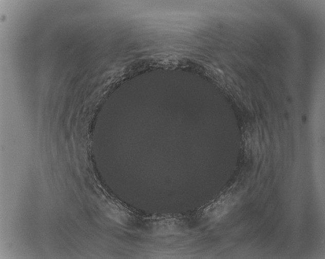 X0000062830769200601201612