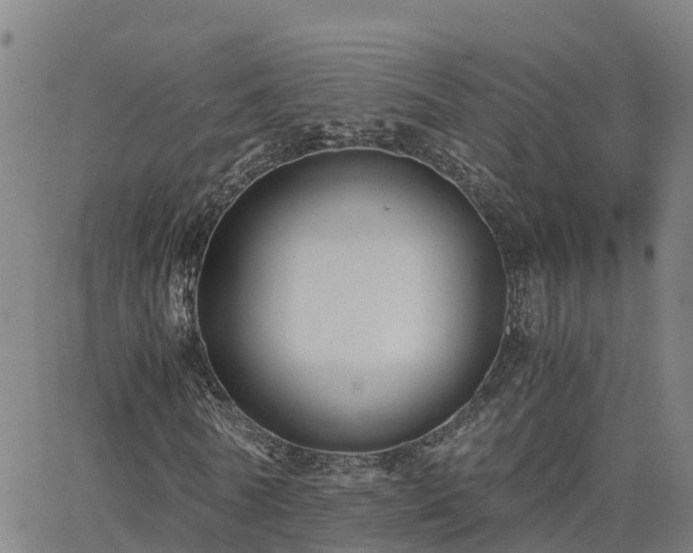 X0000062830770200601201612