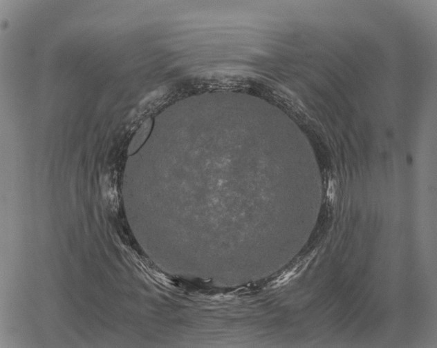 X0000062830771200601201612