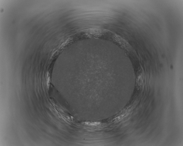 X0000062830772200601201612