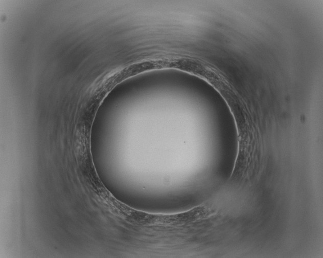 X0000062830773200601201612