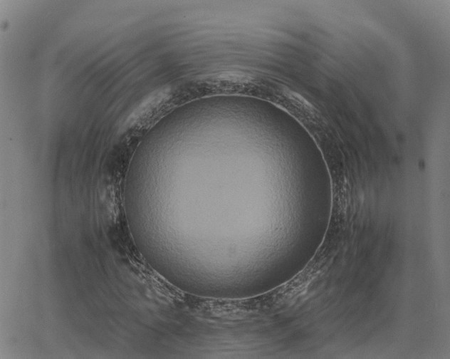 X0000062830774200601201612