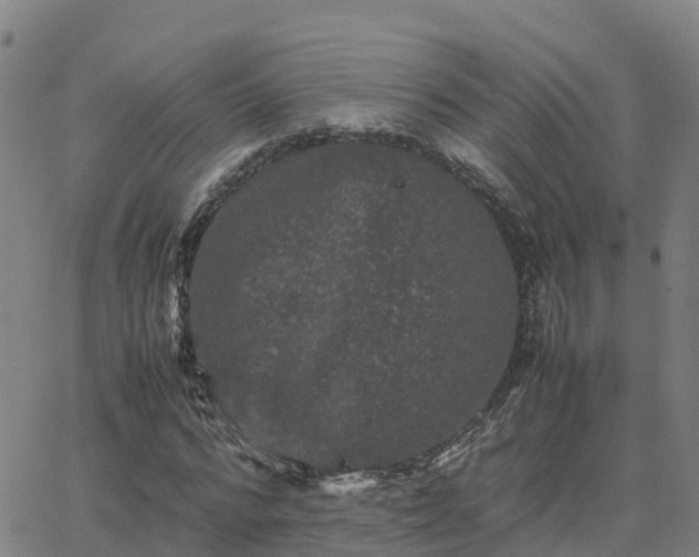 X0000062830776200601201612