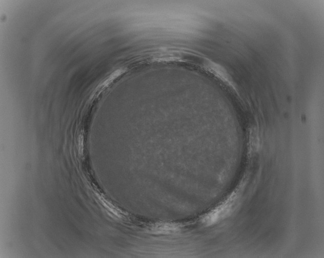 X0000062830777200601201612