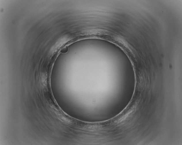 X0000062830778200601201612