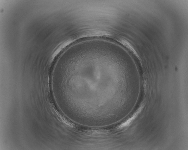 X0000062830781200601201612