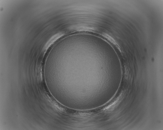 X0000062830782200601201611