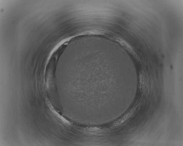 X0000062830784200601201611