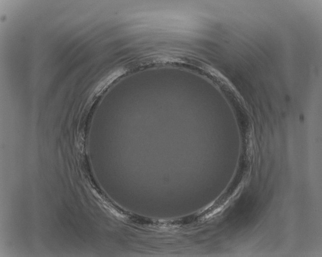 X0000062830785200601201611