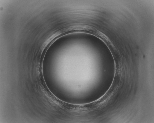 X0000062830786200601201611