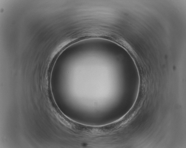 X0000062830787200601201611