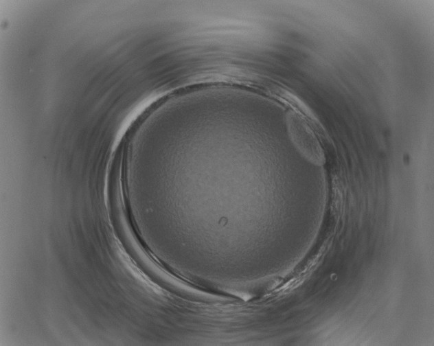 X0000062830788200601201611