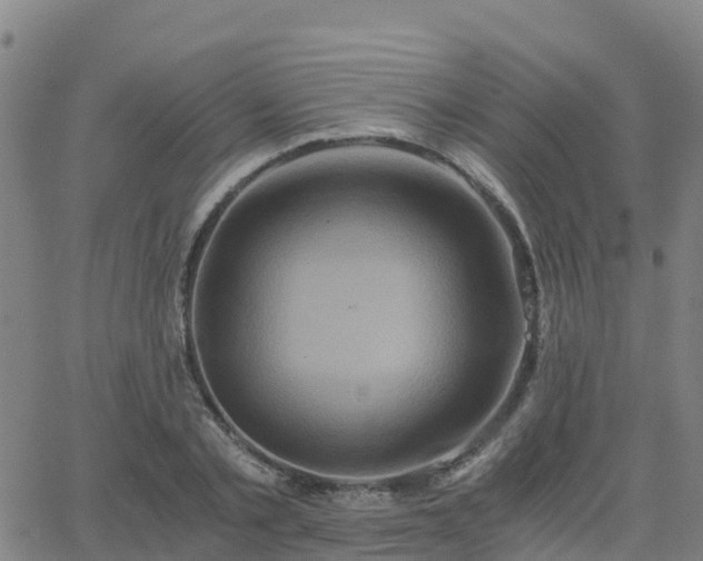 X0000062830789200601201611