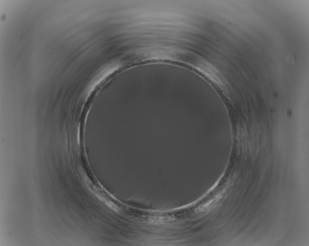 X0000062830790200601201611