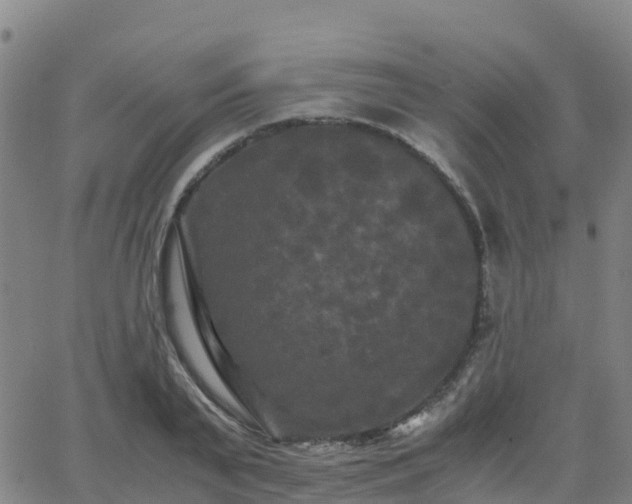 X0000062830791200601201611