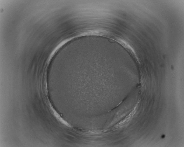 X0000062830792200601201611