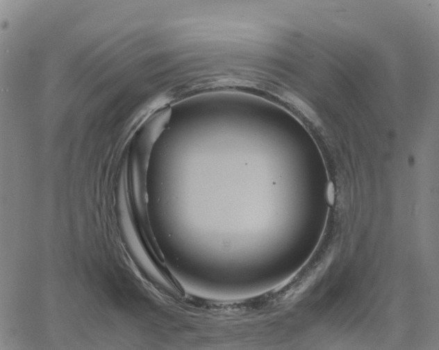 X0000062830793200601201611