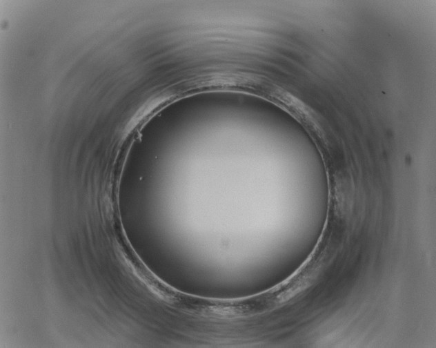 X0000062830794200601201611