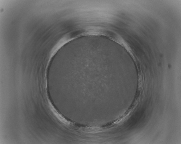 X0000062830795200601201611