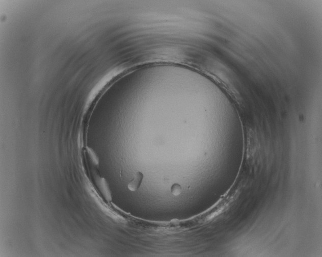 X0000062830796200601201611