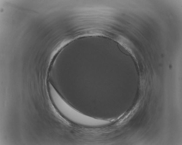 X0000062830797200601201611