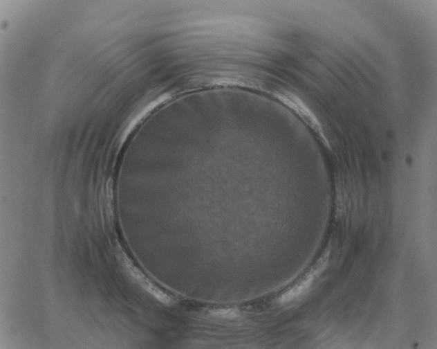 X0000062830798200601201611