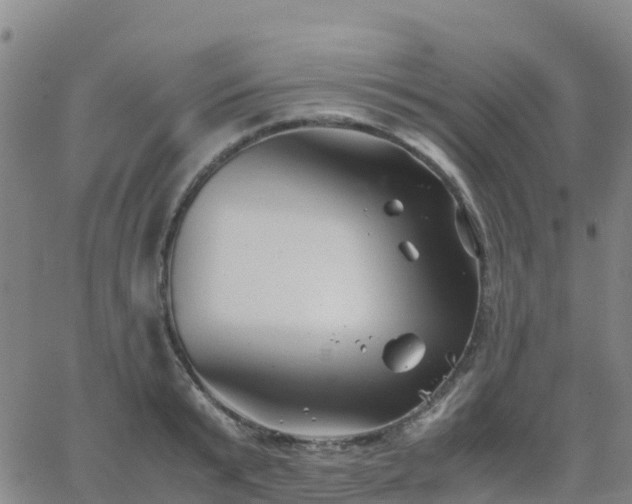 X0000062830799200601201611