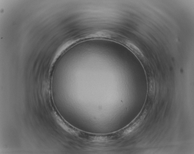 X0000062830800200601201611