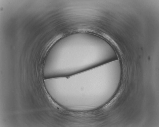 X0000062830801200601201611