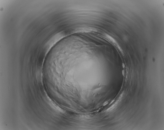 X0000062830802200601201611