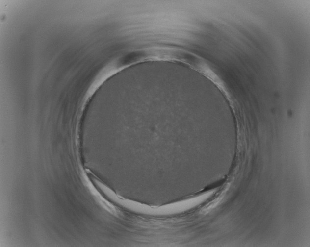 X0000062830803200601201611