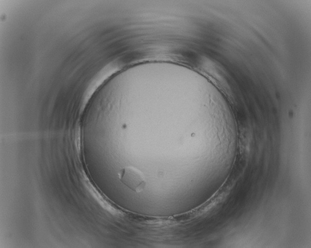 X0000062830804200601201611