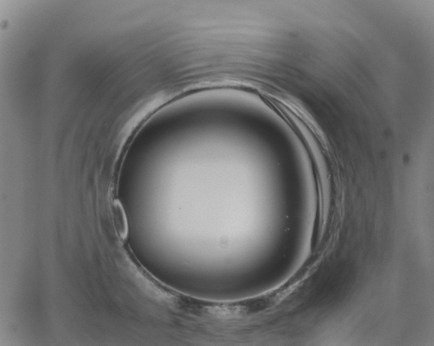 X0000062830805200601201611