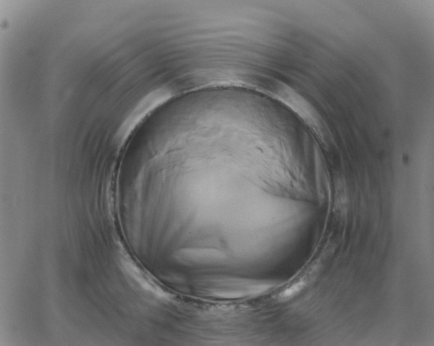 X0000062830806200601201611