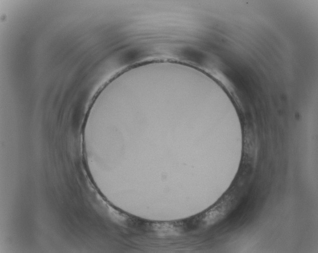 X0000062830807200601201611