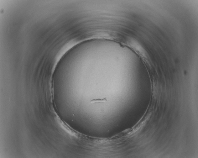 X0000062830808200601201611