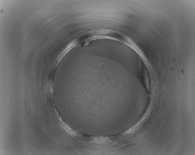 X0000062830809200601201611