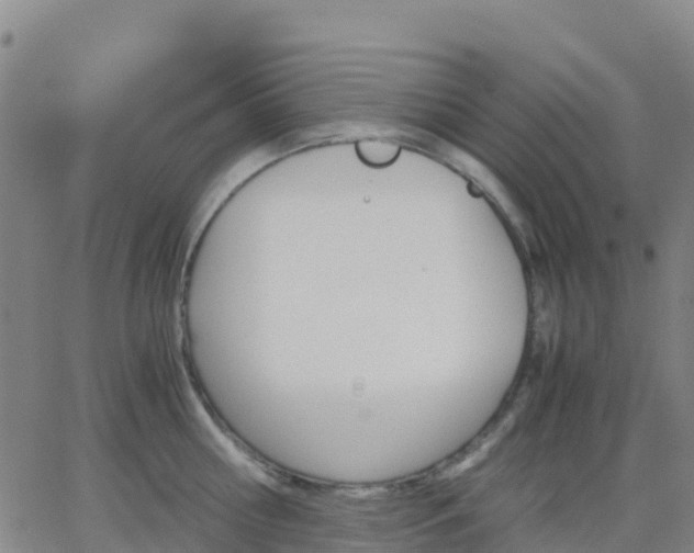 X0000062830810200601201611