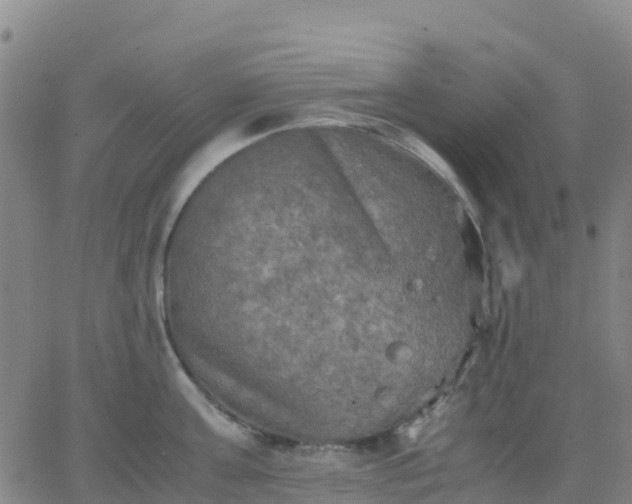 X0000062830811200601201611