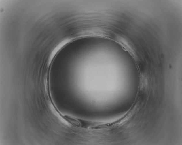 X0000062830812200601201611